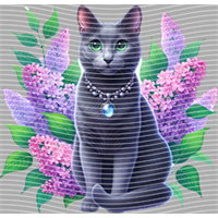 Animal Integration-DW 1933